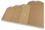 Reclosable cardboard envelopes  | PIT Packaging.com | Bestbuyenvelopes