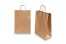 Paper carrier bags with twisted handles - bronze, 260 x 120 x 350 mm, 90 gsm | PIT Packaging.com | Bestbuyenvelopes