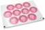 Communion envelope seals - mi primera comunión pink cross | PIT Packaging.com | Bestbuyenvelopes