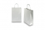 Paper carrier bags with twisted handles - silver, 220 x 100 x 310 mm, 90 gsm | PIT Packaging.com | Bestbuyenvelopes