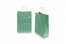 Paper carrier bags with twisted handles - green metallic, 220 x 100 x 310 mm, 90 gsm | PIT Packaging.com | Bestbuyenvelopes