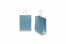 Paper carrier bags with twisted handles - blue metallic, 180 x 80 x 220 mm, 90 gsm | PIT Packaging.com | Bestbuyenvelopes