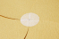 Transparant envelope seals - 26 mm with perforation | PIT Packaging.com | Bestbuyenvelopes