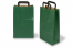 Paper carrier bags with folded handles - green, 220 x 105 x 360 mm | PIT Packaging.com | Bestbuyenvelopes