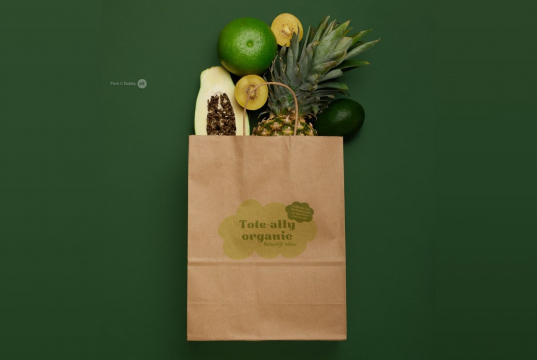 Paper carrier bags with twisted handles | PIT Packaging.com | Bestbuyenvelopes