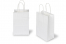Paper carrier bags with twisted handles - white, 140 x 80 x 210 mm, 90 gsm | PIT Packaging.com | Bestbuyenvelopes