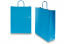 Paper carrier bags with twisted handles - blue, 320 x 120 x 410 mm, 100 gsm | PIT Packaging.com | Bestbuyenvelopes