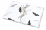 Tissue paper - as gift wrapping | PIT Packaging.com | Bestbuyenvelopes