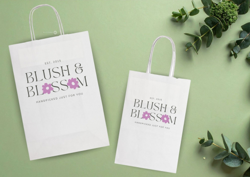 Paper carrier bags with twisted handles | PIT Packaging.com | Bestbuyenvelopes