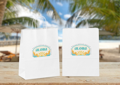 Paper carrier bags with twisted handles | PIT Packaging.com | Bestbuyenvelopes