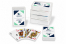 Custom playing cards international - without a bleed print + plastic box | PIT Packaging.com | Bestbuyenvelopes