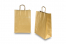 Paper carrier bags with twisted handles - gold, 260 x 120 x 350 mm, 90 gsm | PIT Packaging.com | Bestbuyenvelopes