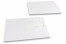 Envelopes with string and washer closure - 229 x 324 mm, white | PIT Packaging.com | Bestbuyenvelopes