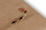 Paper mailing bags with return closure | PIT Packaging.com | Bestbuyenvelopes