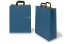 Paper carrier bags with folded handles - blue, 320 x 140 x 420 mm | PIT Packaging.com | Bestbuyenvelopes