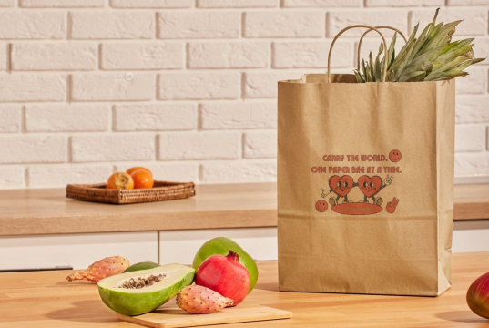 Paper carrier bags with twisted handles | PIT Packaging.com | Bestbuyenvelopes