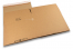 Crash lock box - brown, 315 x 290 x 215 mm - SPX19 | PIT Packaging.com | Bestbuyenvelopes