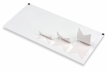 Elongated seals for laser printing | PIT Packaging.com | Bestbuyenvelopes