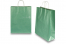 Paper carrier bags with twisted handles - green metallic, 320 x 120 x 410 mm, 100 gsm | PIT Packaging.com | Bestbuyenvelopes