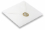 Wax seals - Twig on envelope | PIT Packaging.com | Bestbuyenvelopes