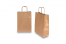 Paper carrier bags with twisted handles - bronze, 220 x 100 x 310 mm, 90 gsm | PIT Packaging.com | Bestbuyenvelopes