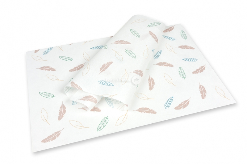 Tissue paper - feathers coloured